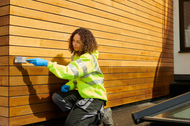 Best Vinyl Siding Installation  in Kayenta, AZ
